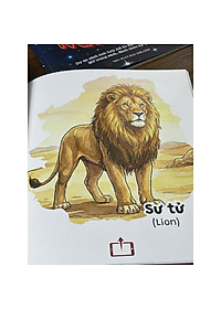product-img-4