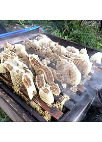 Nến Sáp Ong 26 Giờ Kèm Dĩa Gỗ Dừa 10cm : Khử Mùi Hôi Phòng Kín, Làm Sạch Không Khí, Thơm Nhẹ Mùi Mật Ong - HÀNG CHÍNH HÃNG