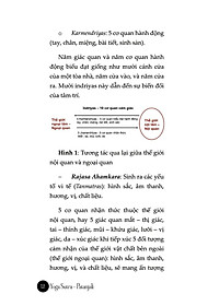 product-img-10