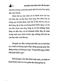 product-img-8
