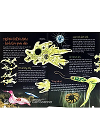 Sách Động Vật Kỳ Quặc