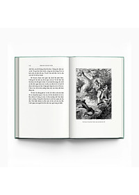 product-img-9