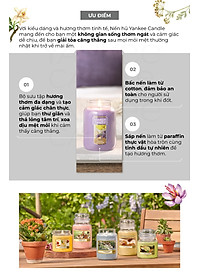 Nến hũ Yankee Candle size L - Autumn Leaves (623g)