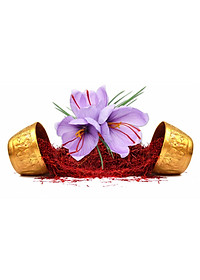 product-img-13