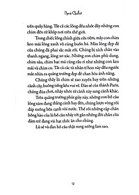 product-img-10