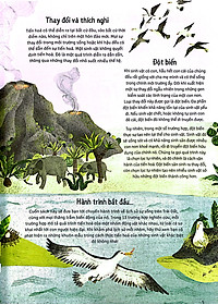 Sách Thời Cá Voi Biết Đi