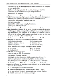 product-img-10