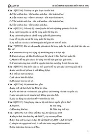 product-img-11