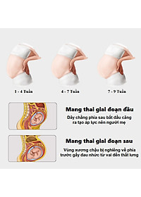 Đai Đỡ Bụng Bầu Cho Mẹ Bầu Chính Hãng Amalife - Nhiều size