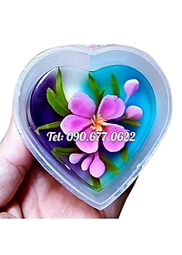 product-img-6
