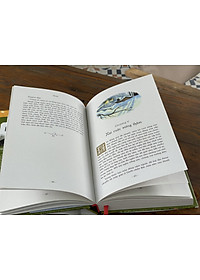 product-img-2
