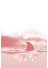 product-img-14