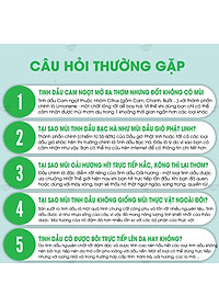 Tinh Dầu Hoàng Đàn Kobi Cedarwood Essential Oil Dùng Xông Phòng, Giúp Khử Trùng, Giảm Đau, Chống Viêm Nhiễm Hiệu Quả