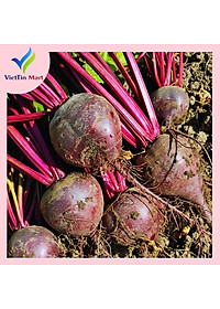 Bột Củ Dền Đỏ Nguyên Chất Sấy Lạnh VIETTIN MART