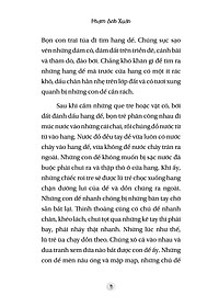 product-img-5
