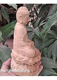 product-img-2