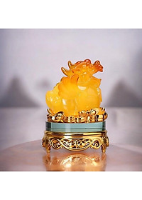 product-img-5