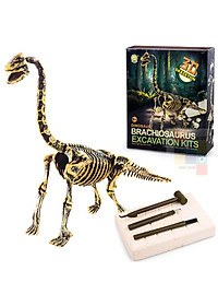 [Có sẵn] Mô hình Khủng Long hóa thạch - truy tìm dấu vết hóa thạch