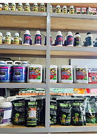 product-img-4