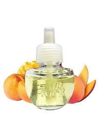 product-img-2