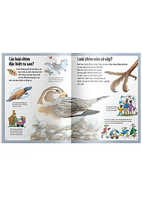 Sách Em Muốn Biết Vì Sao Ngỗng Trời Bay Xa Và Những Câu Hỏi Khác Về Chim 
Chóc