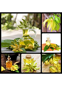 product-img-9
