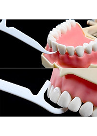 Tăm chỉ nha khoa tiệt trùng hộp 50 cái