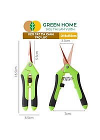 Kéo Cắt Cành GreenHome, D16,5xR4,5cm, Inox, Mũi Nhọn, Siêu Bén, Không Gỉ, Có Khoá An Toàn, Nhiều Màu Lựa Chọn