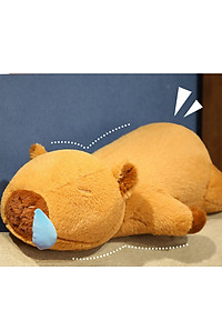 Thú nhồi bông capybara phom nằm đáng yêu - Size từ 60cm đến 90cm - Quà tặng gấu bông chuột lang chảy nước mũi có thể kéo ra được.