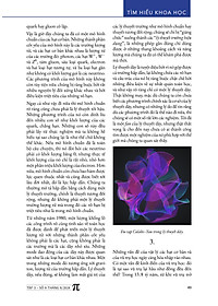 product-img-10