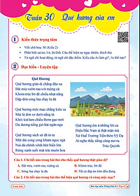 Combo Bài Tập Tuần và Đề Kiểm Tra Toán, Tiếng Việt Lớp 2 - Cánh Diều (Tự Chọn Sách)