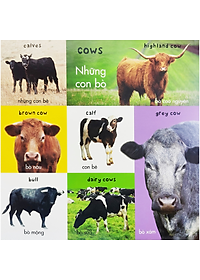 100 Từ Vựng Đầu Tiên Về Trang Trại - Bộ Sách Từ Vựng Đầu Đời Cho Bé