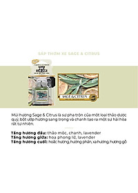 Sáp thơm xe Yankee Candle - Sage & Citrus