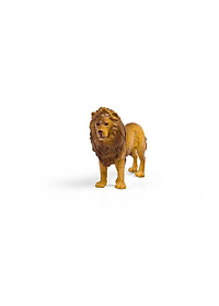 product-img-19