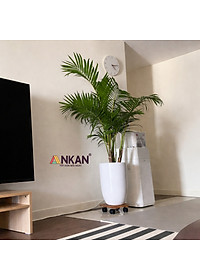 Đế Lót Chậu Cây ANKAN Có Bánh Xe - Gỗ Tràm Mặt Tròn 30cm, Tải Trọng 60kg - Màu Vàng