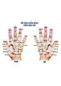 COMBO 2 quả bi gỗ Bách Xanh 6 cạnh (MH851) Mát xa lòng bàn tay giúp chống mỏi toàn diện - Chăm sóc sức khỏe