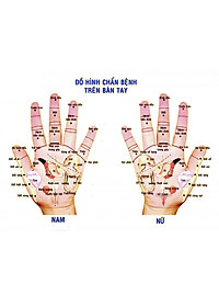 Dụng Cụ day ấn Huyệt Mát xa Chữ nhật Gỗ Bách Xanh (MH855) Cổ, vai, tay, bụng, eo, chân, kiểu thái - Chăm sóc sức khỏe