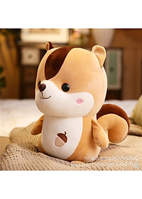product-img-2