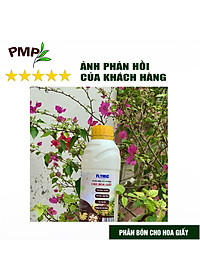product-img-10