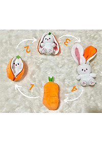 product-img-4