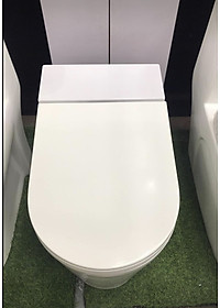 BỒN CẦU ĐÁ CHÂN TỰ ĐỘNG 580W