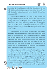 product-img-11