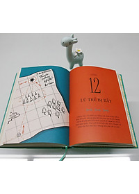 product-img-8