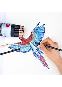 Bút chì màu cao cấp Deli dạng cốc - 24 màu/36 màu/72 màu - 68100/68101/68114