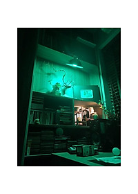 product-img-7
