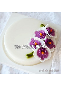 product-img-4