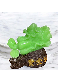 product-img-6