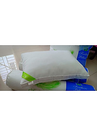 1 Gối Lông Vũ Microfiber Sài Gòn 47x67cm - tặng kèm túi xách sang trọng