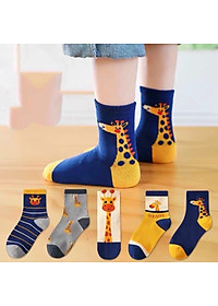product-img-1