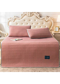 CHIẾU ĐIỀU HÒA CAO SU NON LATEX 2020 - HỒNG - 1M6X2M